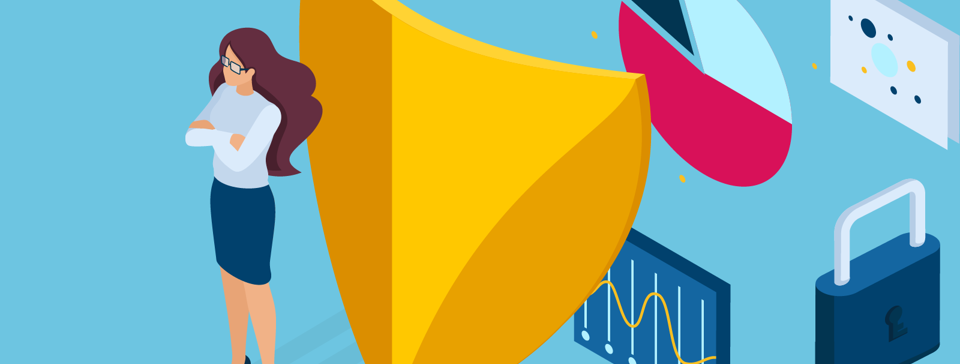 lady with a shield, pie chart, pad lock and data