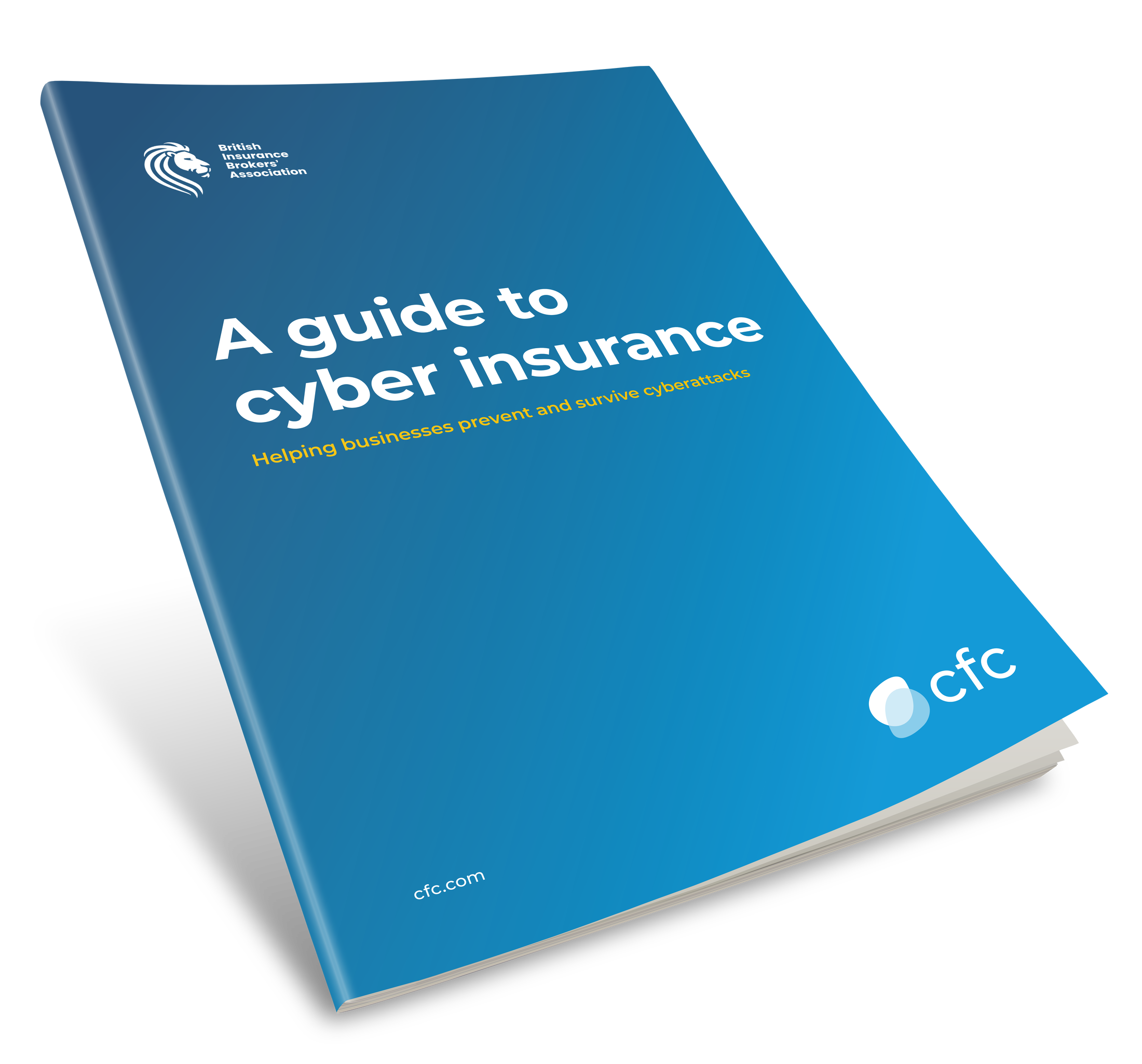 BIBA Cyber Guide 2024 Mockup