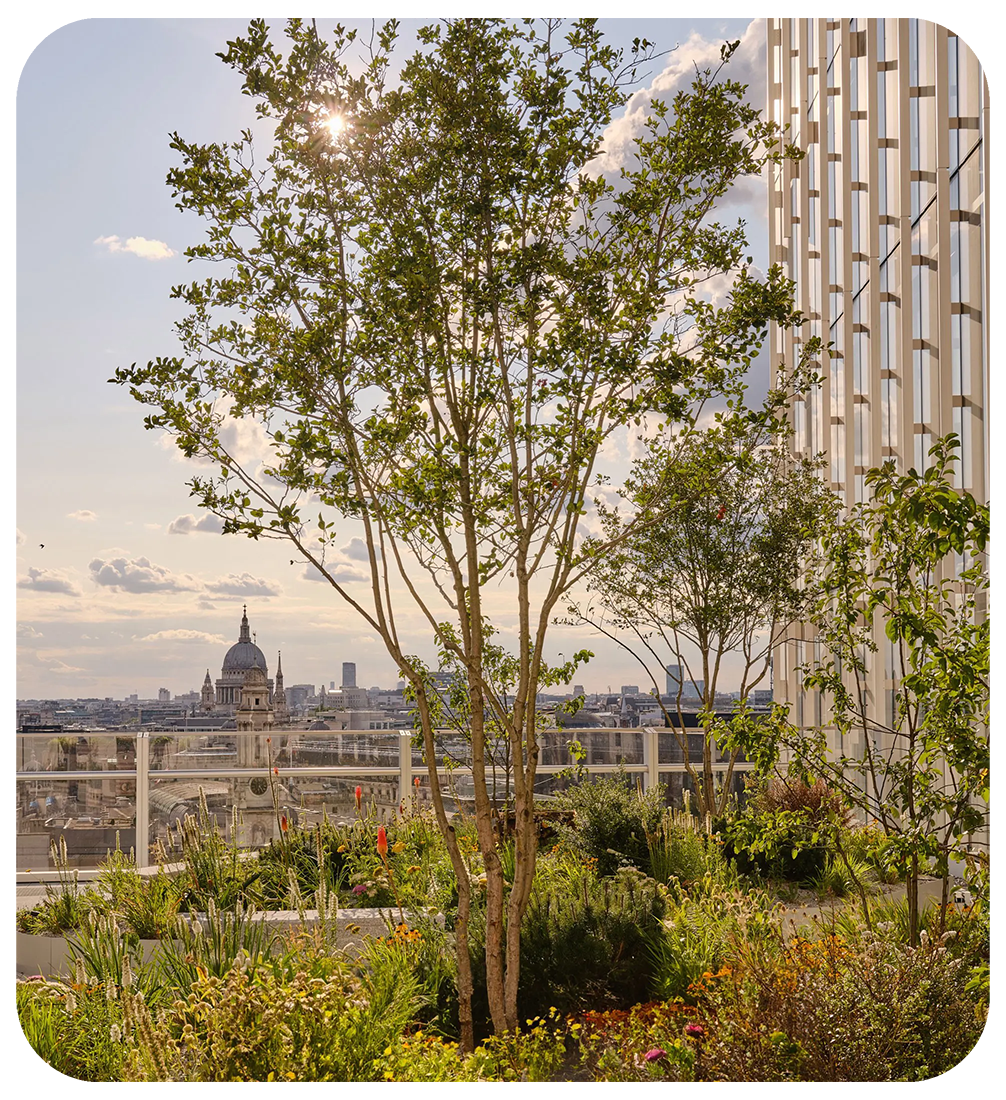 Celebrate our new HQ, together